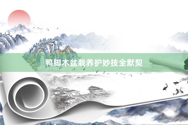 鸭脚木盆栽养护妙技全默契